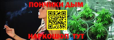 дживик Новодвинск